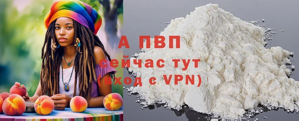 стаф Аркадак