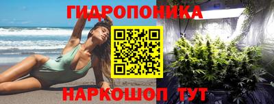 ECSTASY Боровичи