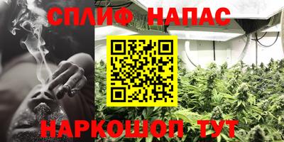 ECSTASY Боровичи