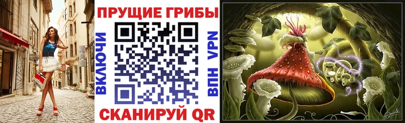 Галлюциногенные грибы Psilocybine cubensis  Верхняя Салда 