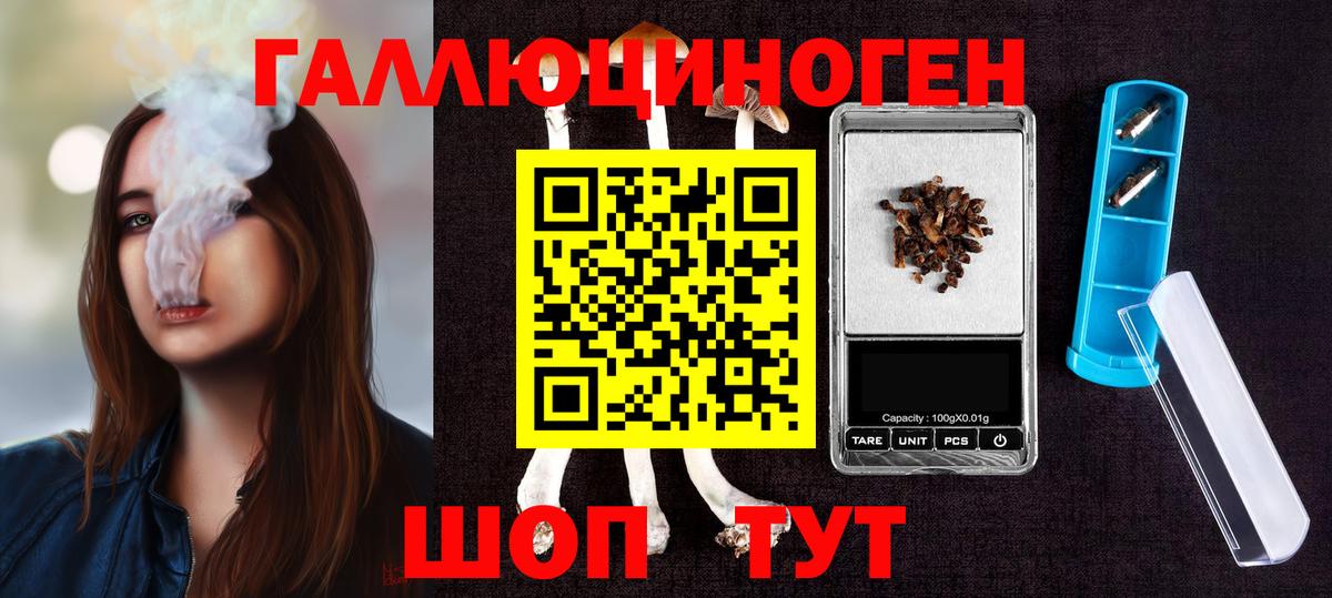 Галлюциногенные грибы Psilocybe Верхняя Салда